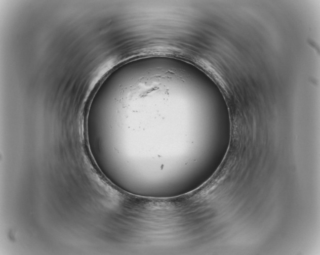 X0000096201083200802011254