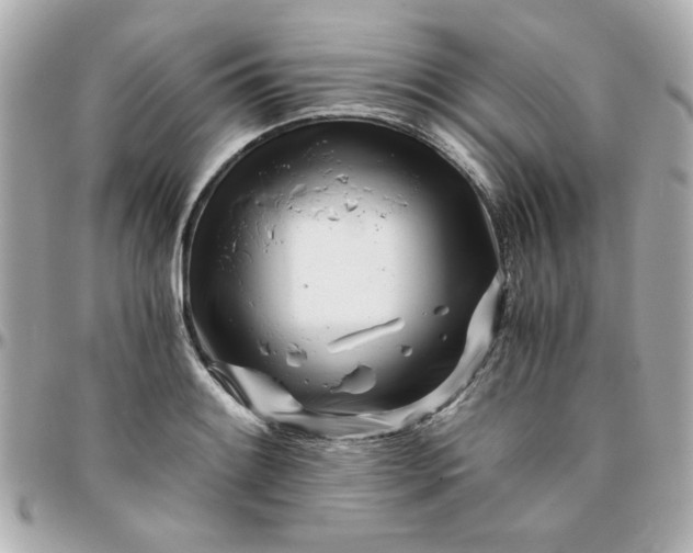 X0000096201084200802011254