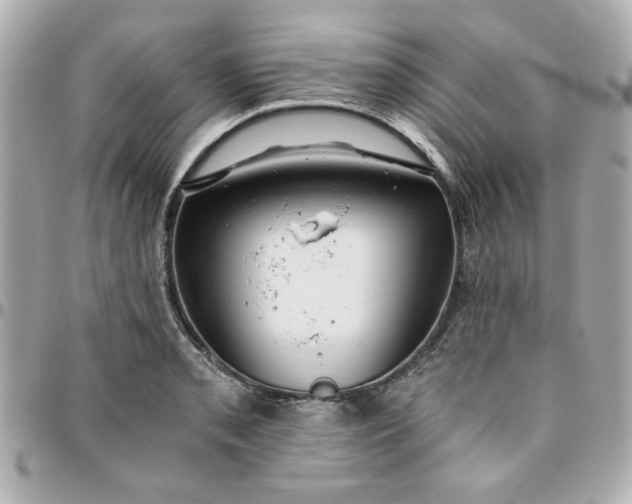 X0000096201085200802011254