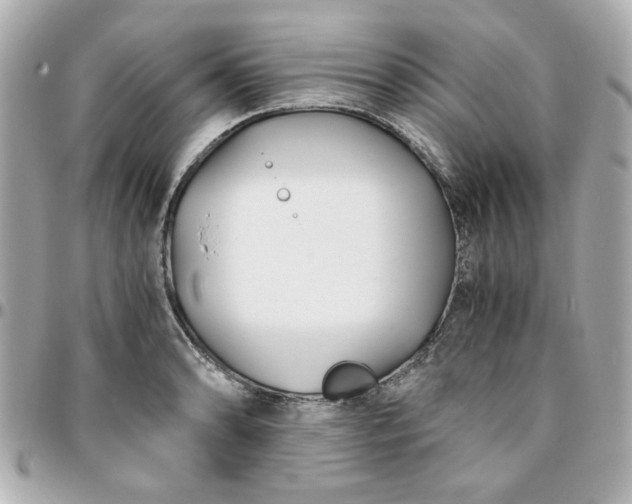 X0000096201086200802011254