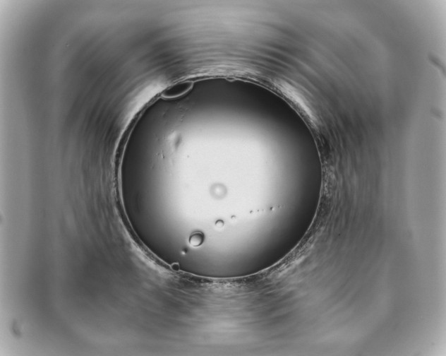 X0000096201087200802011254