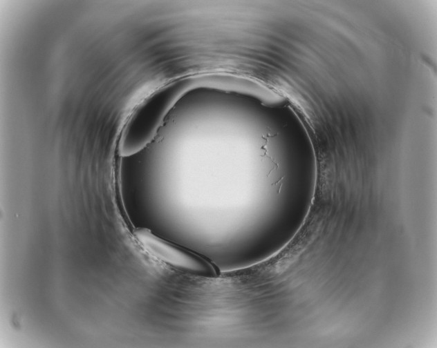 X0000096201088200802011254