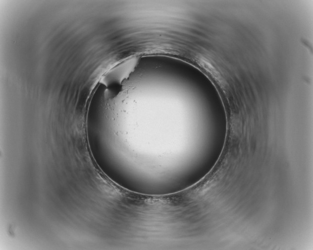 X0000096201089200802011254