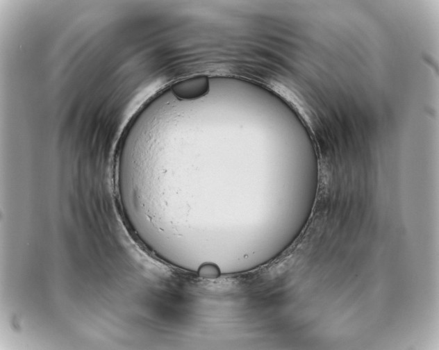 X0000096201090200802011254