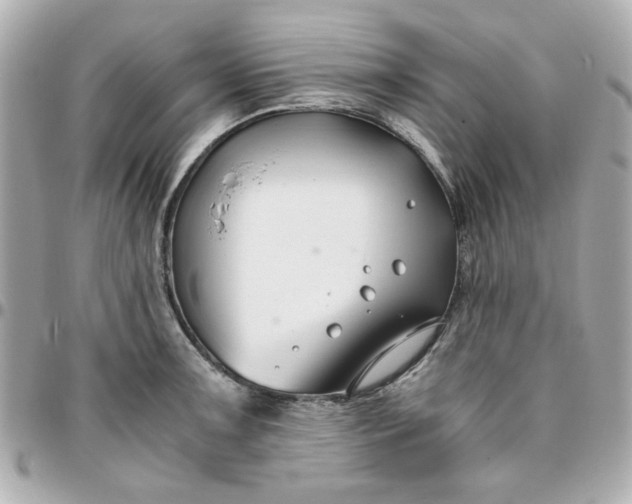 X0000096201091200802011254