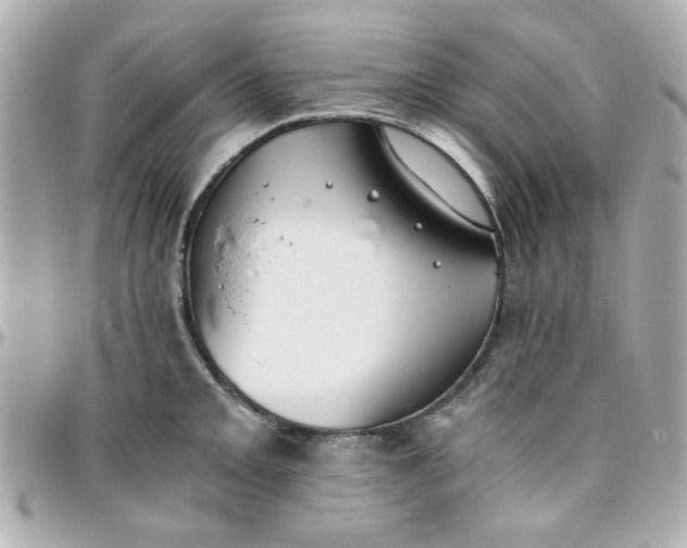 X0000096201093200802011254