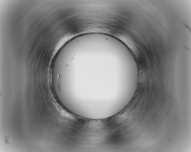 X0000096201094200802011254