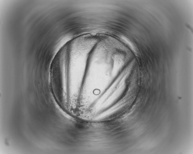 X0000096201095200802011254