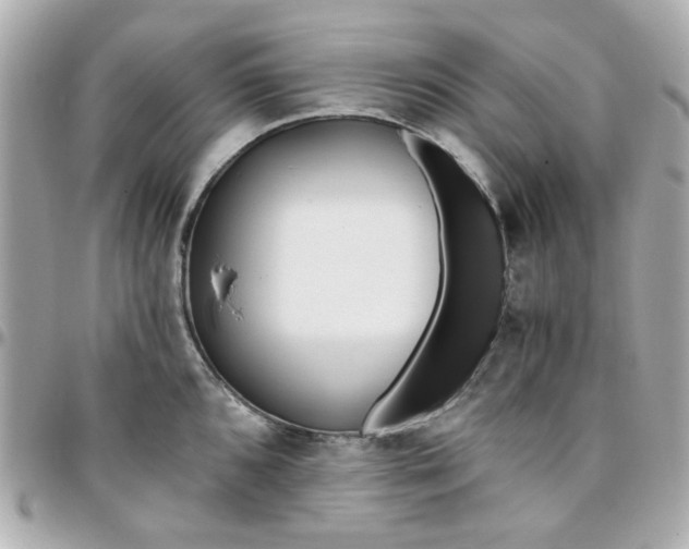 X0000096201096200802011254