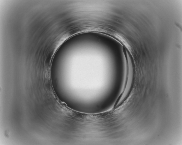 X0000096201097200802011254