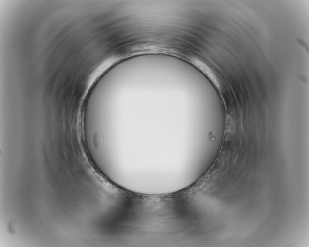 X0000096201098200802011254