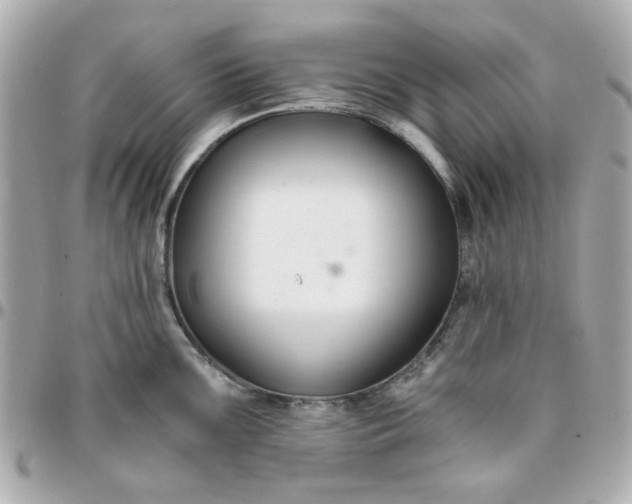 X0000096201099200802011254