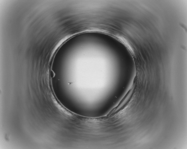 X0000096201100200802011254