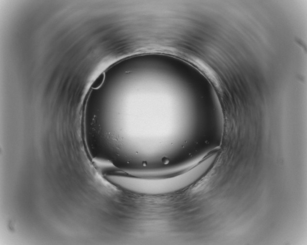 X0000096201102200802011254