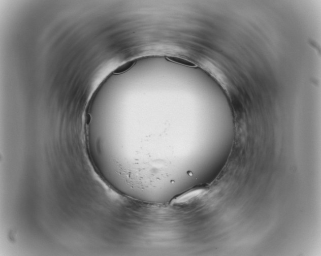 X0000096201103200802011254