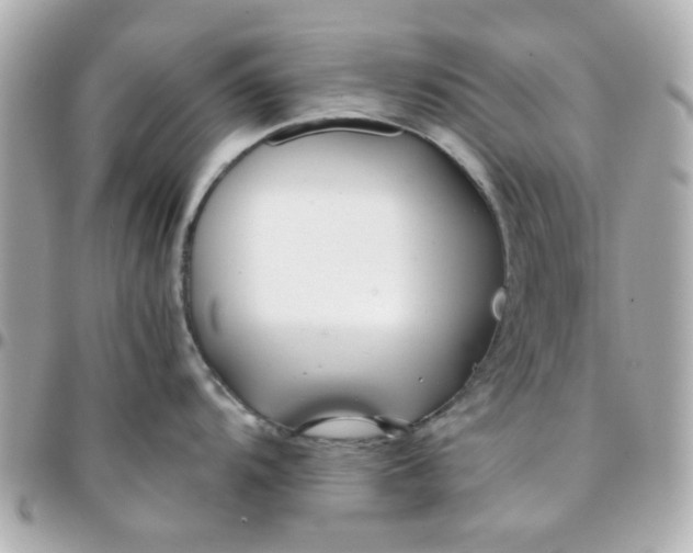 X0000096201104200802011254