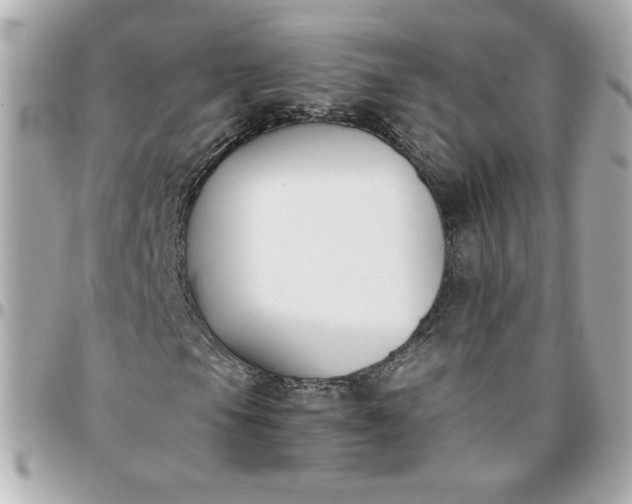 X0000096201105200802011253