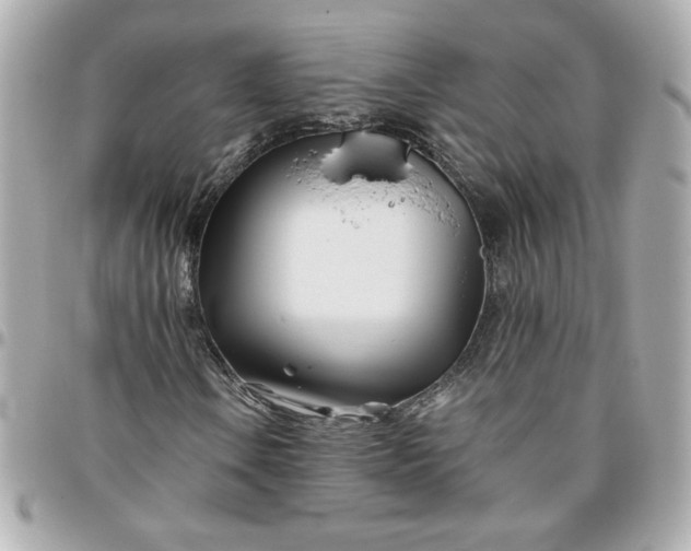 X0000096201106200802011253