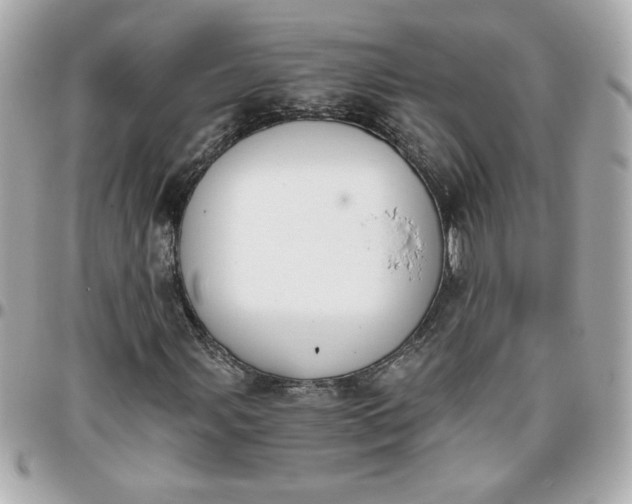 X0000096201107200802011253