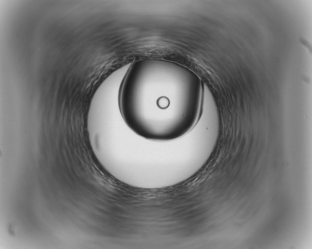 X0000096201108200802011253