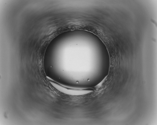 X0000096201109200802011253