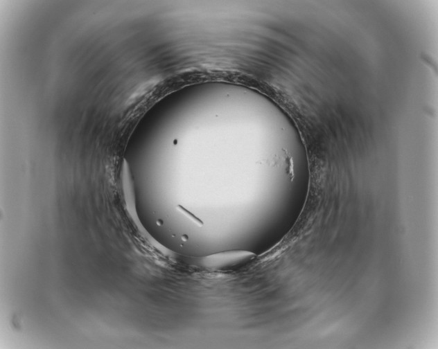 X0000096201110200802011253