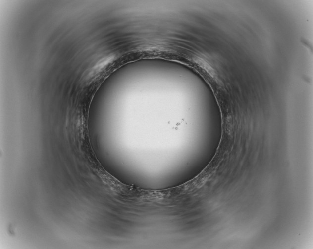 X0000096201111200802011253