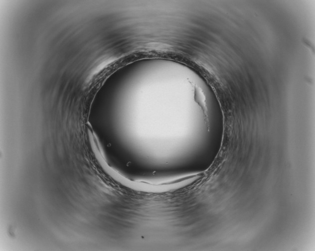 X0000096201112200802011253