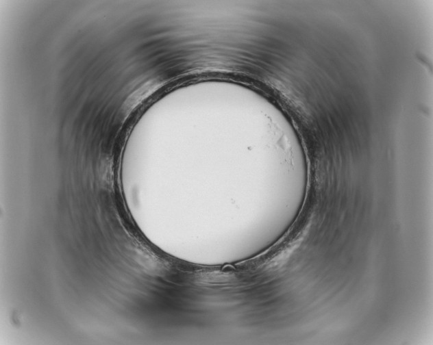 X0000096201113200802011253