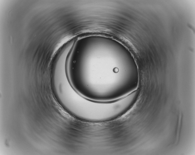 X0000096201114200802011253