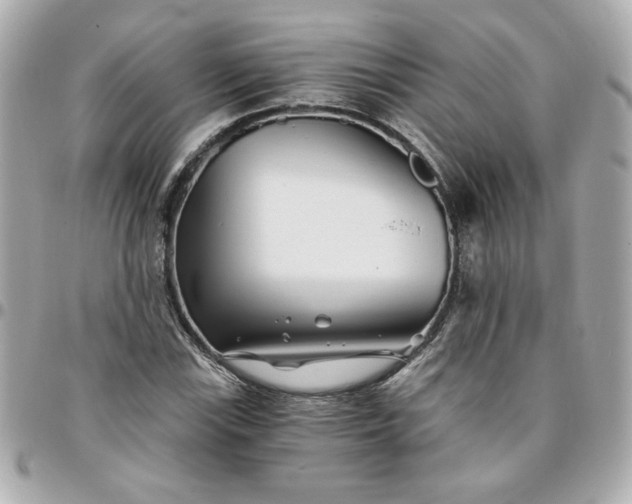 X0000096201115200802011253