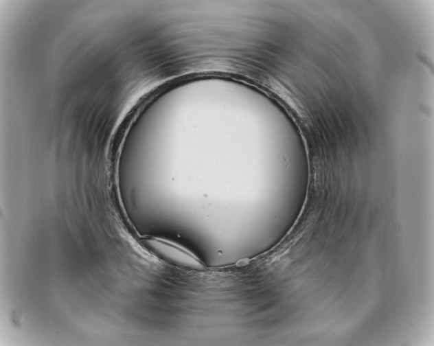 X0000096201116200802011253