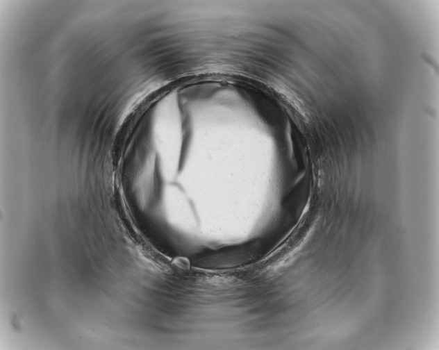 X0000096201117200802011253