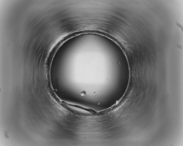 X0000096201118200802011253