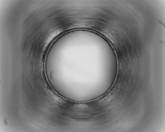 X0000096201119200802011253