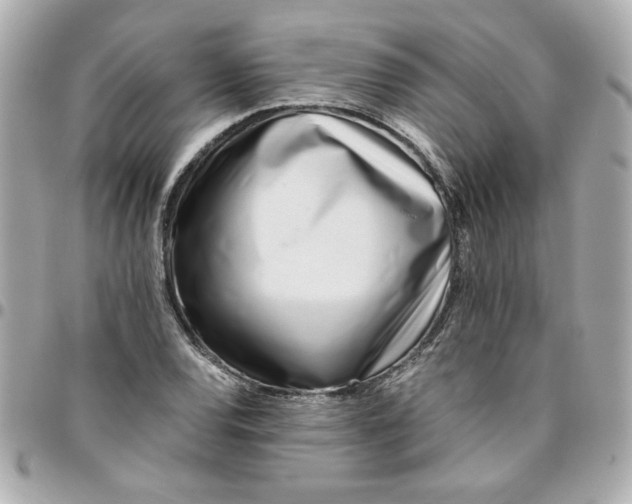 X0000096201120200802011253