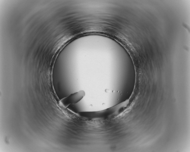 X0000096201121200802011253