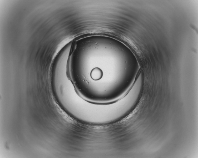 X0000096201122200802011253