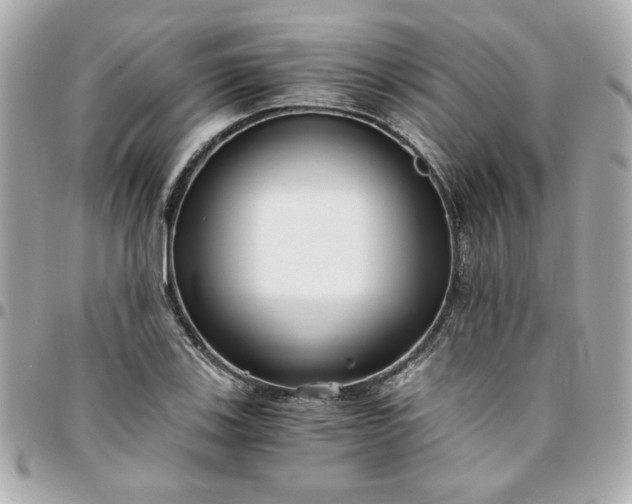 X0000096201123200802011253