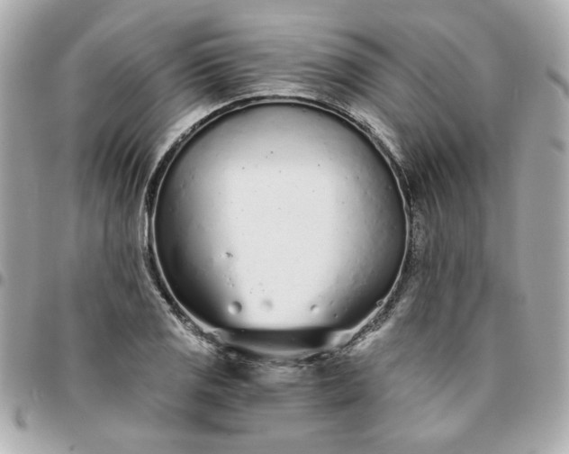 X0000096201125200802011253