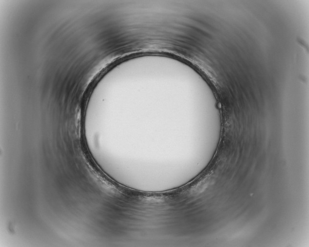 X0000096201126200802011253