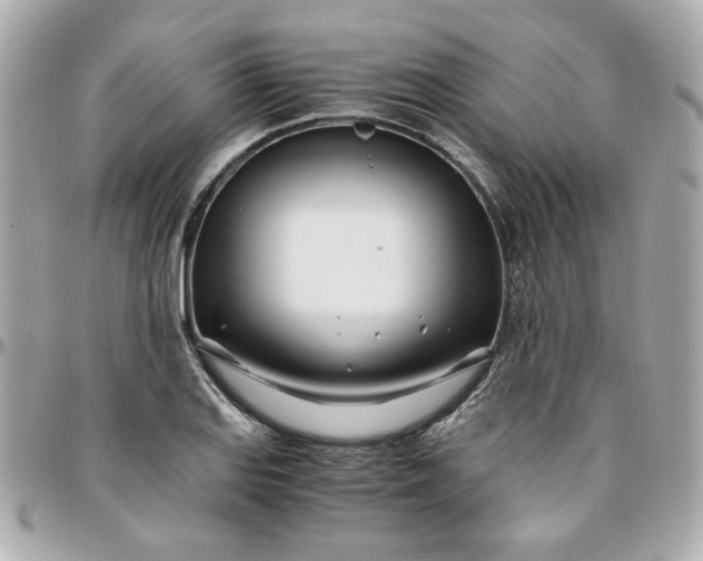 X0000096201127200802011253