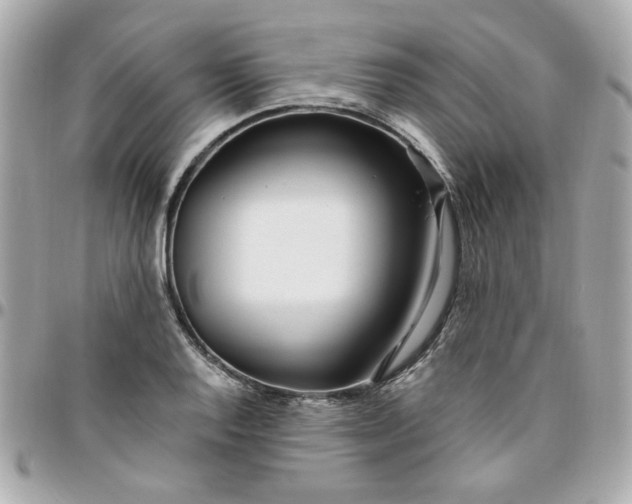 X0000096201128200802011253