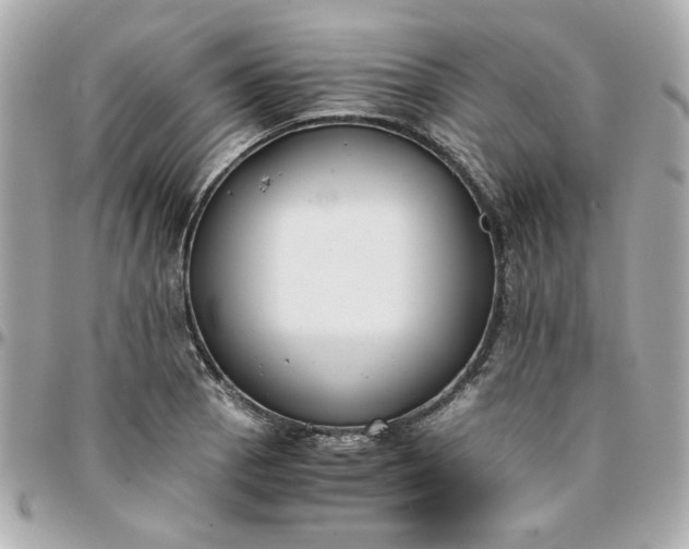 X0000096201129200802011253