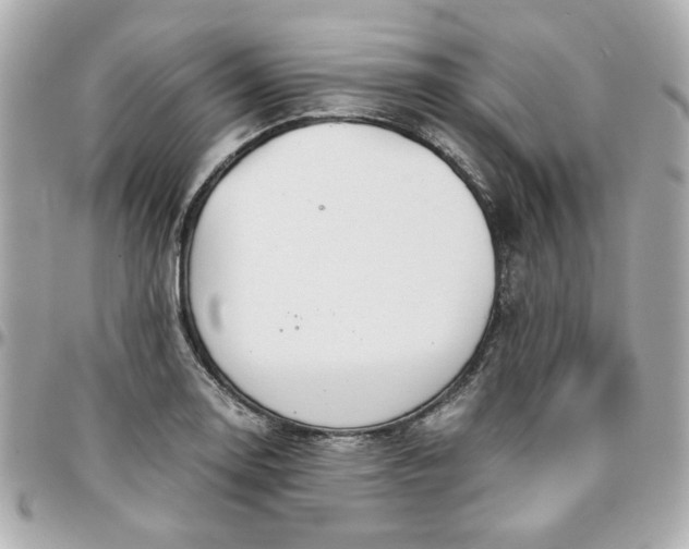 X0000096201130200802011253