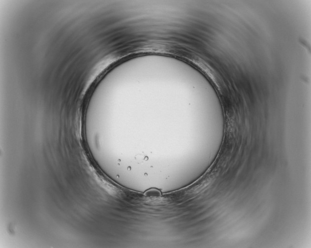 X0000096201131200802011254