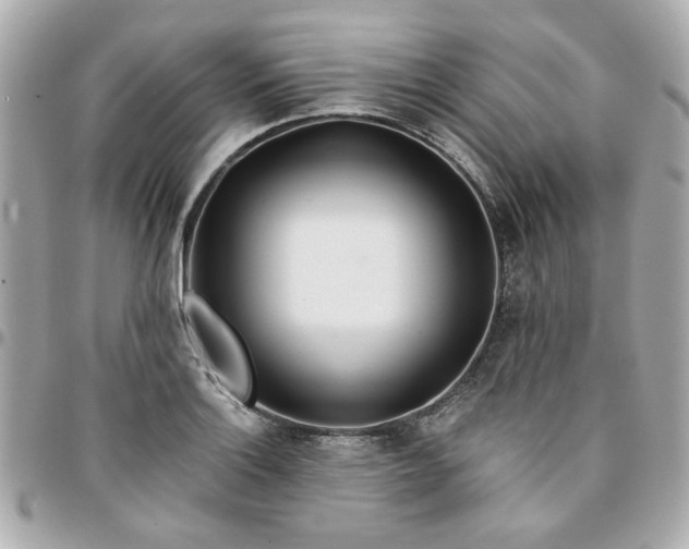 X0000096201132200802011254