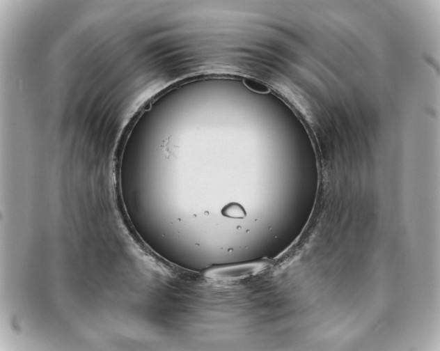 X0000096201133200802011254