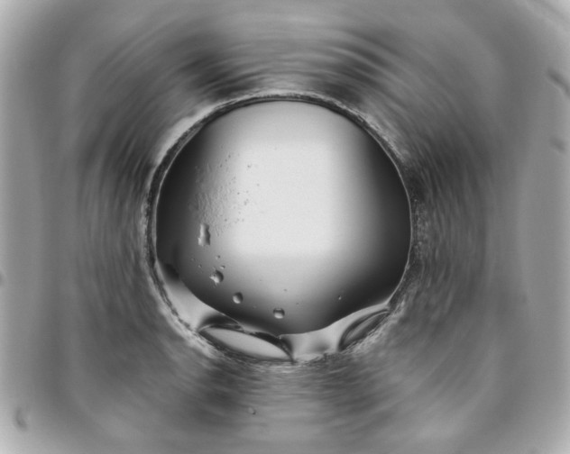 X0000096201134200802011254