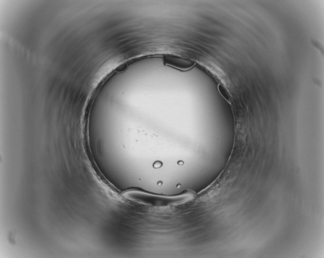 X0000096201135200802011254